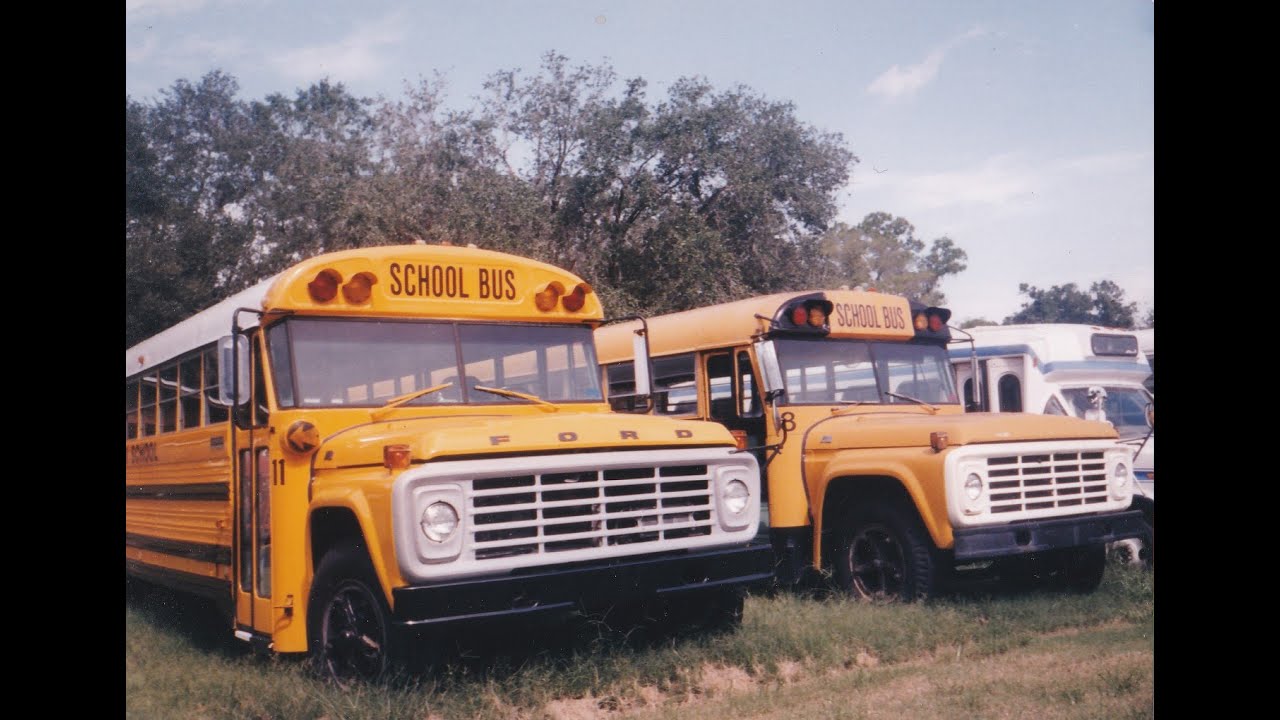 bus